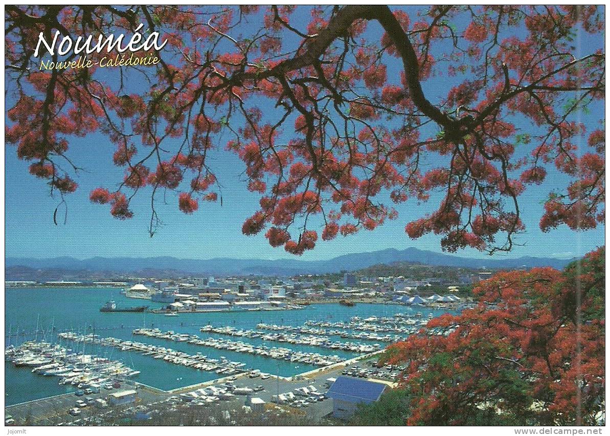 Nouvelle Calédonie New Caledonia (O) CPM Neuve Unused Postcard Paysage NOUMEA Landscape Edt FOOTPRINT N° 370 - Nieuw-Caledonië