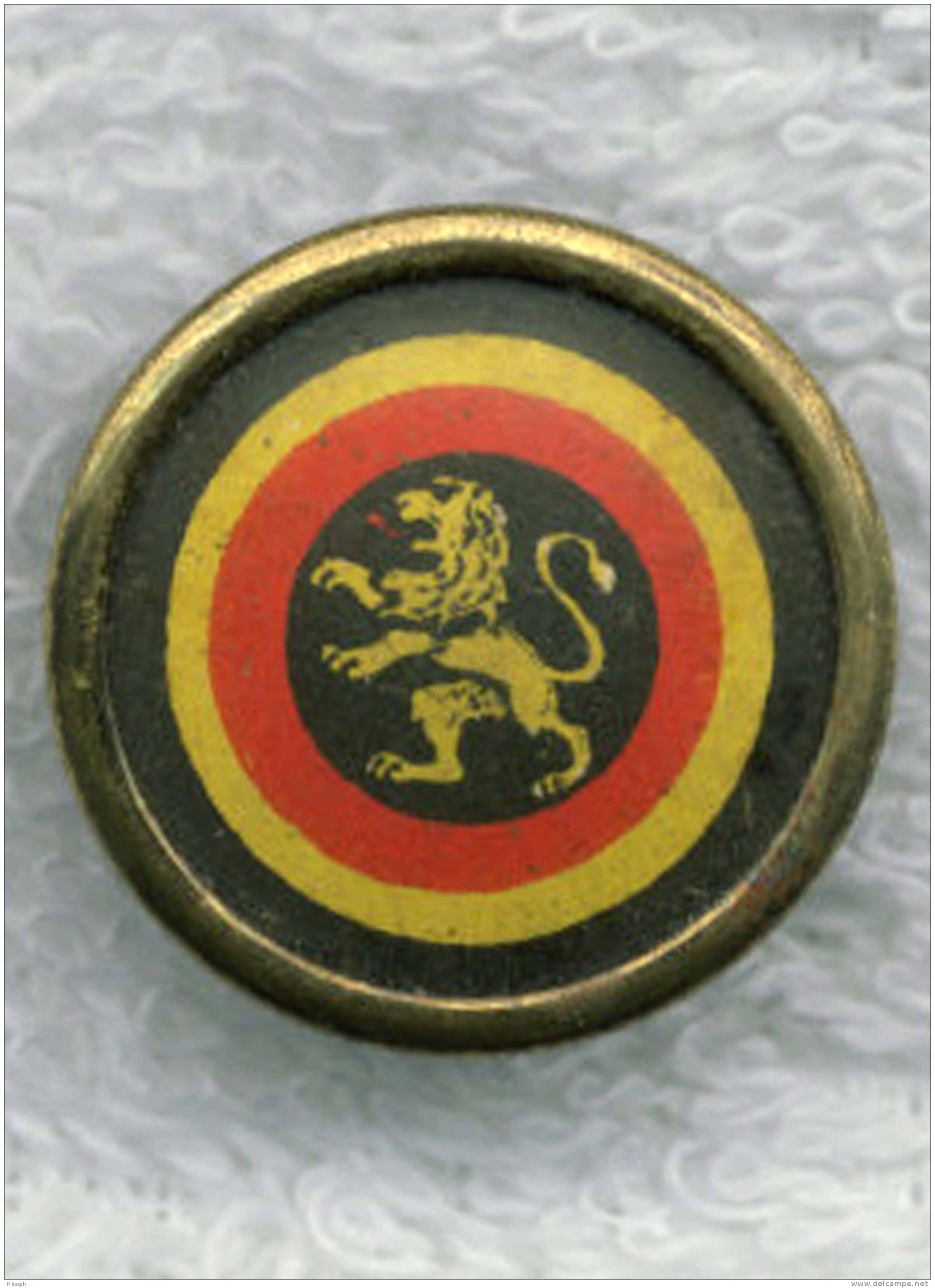 Pin´s -  Insigne De Boutonnière Belge - Lion - Très Probablement Uniforme Facteur    (D1562) - Knoppen