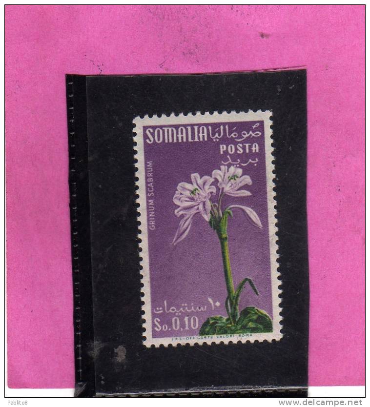 SOMALIA AFIS 1955 FIORI FLOWERS FLEURS FLORA GRINUM SCABRUM CENT. 10c 0,10S MNH - Somalië (AFIS)