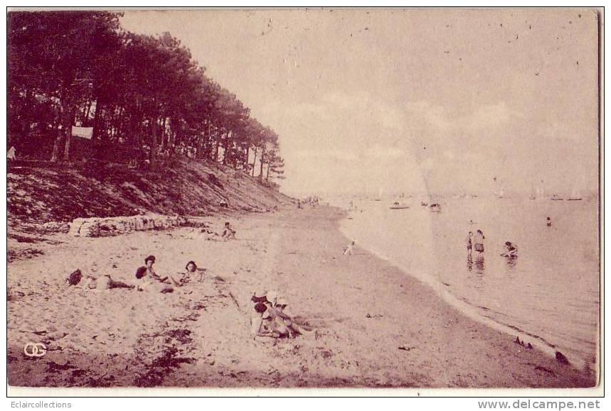 Gironde...33.......Bassin   D'Arcachon..Les Jacquets  Vus  De Piquey         ( Voir Scan Et/ou Annotation) - Sonstige & Ohne Zuordnung