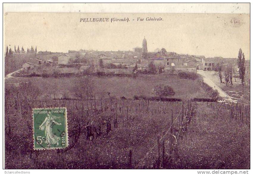 Gironde...33.......Pelleg Rue....Vue  Générale        ( Voir Scan Et/ou Annotation) - Andere & Zonder Classificatie