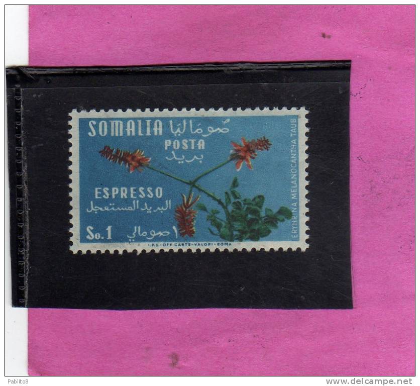 SOMALIA AFIS 1955 ESPRESSO SPECIAL DELIVERY FIORI FLOWERS FLEURS FLORA ERYHRINA MELANOCANTHA TAUB SOMALO 1s MNH - Somalie (AFIS)