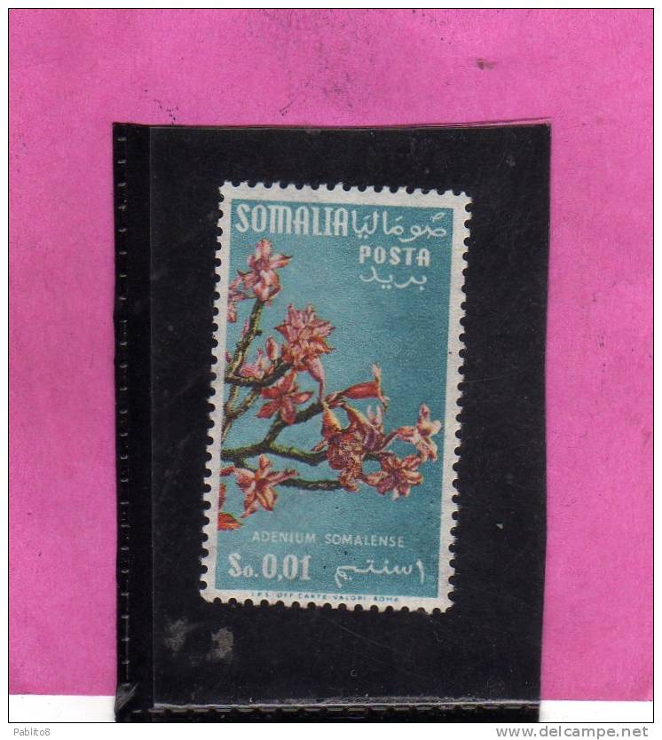 SOMALIA AFIS 1956 FLORA FIORI FLOWER ADENIUM SOMALENSE CENT. 1 FILIGRANA STELLE STAR WATERMARK MNH - Somalië (AFIS)