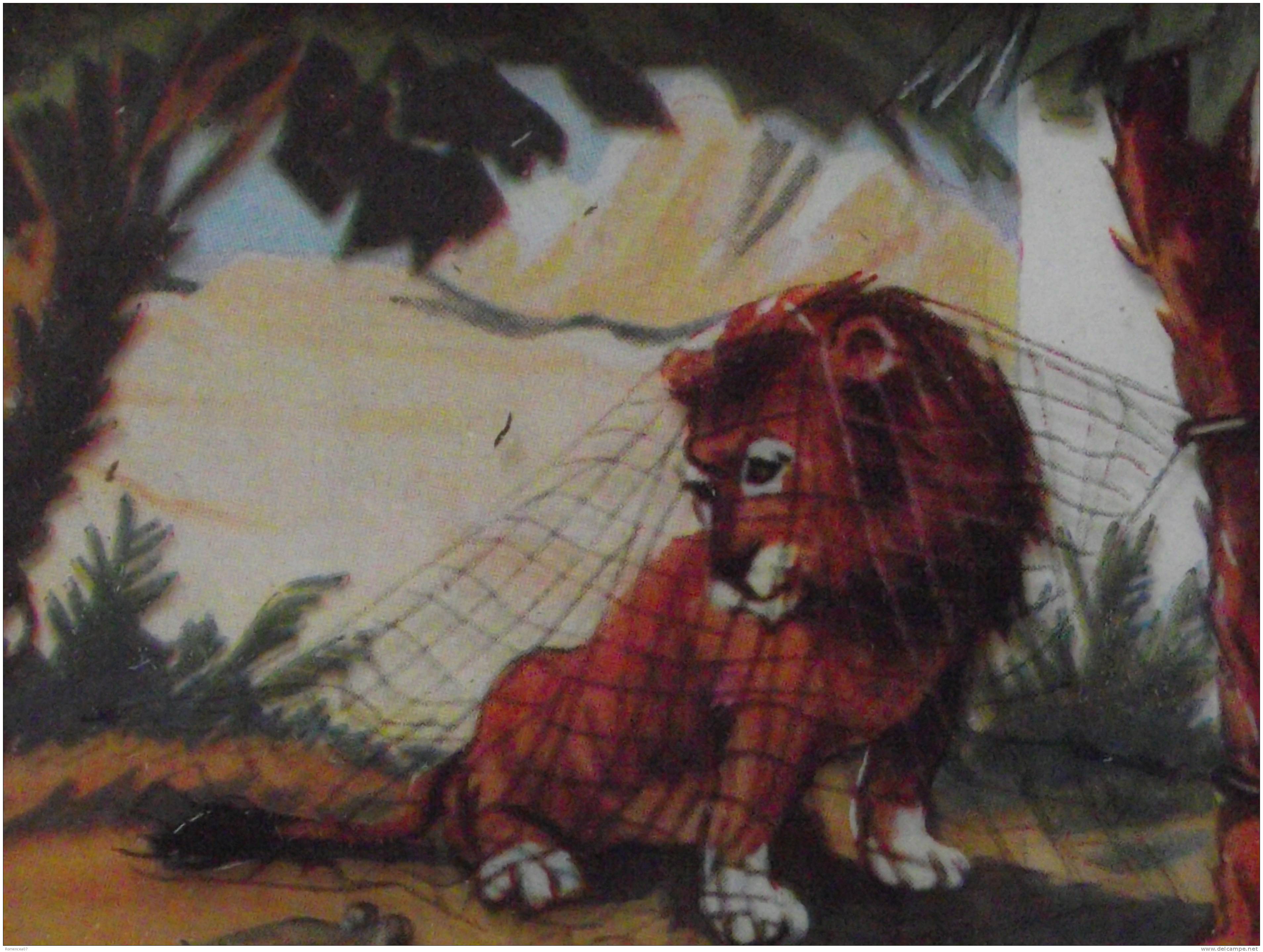 Bonne Fête Maman - JEUNE LION Pris Au PIEGE D´un FILET - Animaux - Faune - Correspondance Du 31 Mai 1959 - A VOIR ! - Fête Des Mères