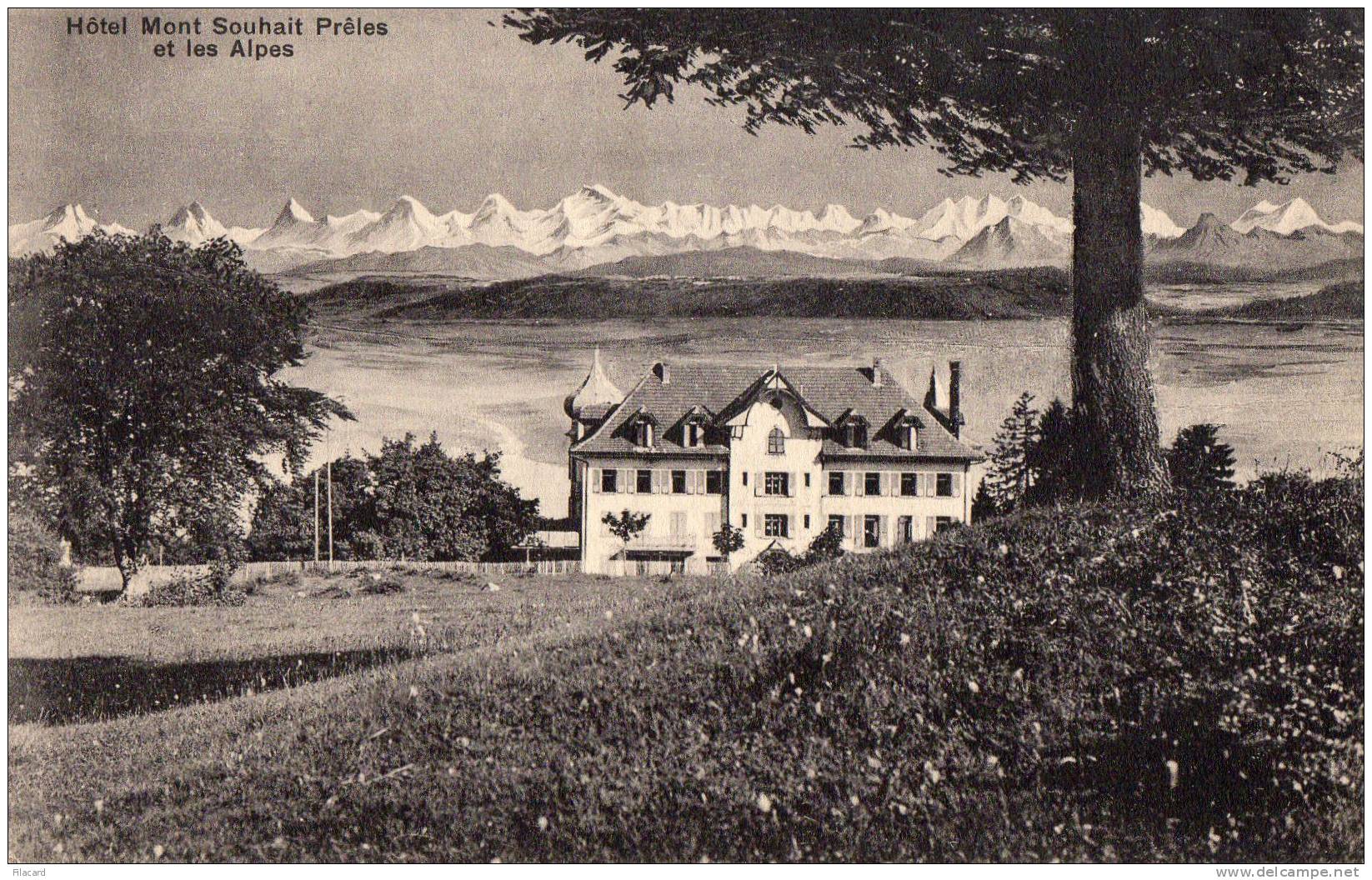 23226   Svizzera,  Hotel  Mont  Souhait  Preles Et  Les  Alpes,  VG  1984 - Prêles
