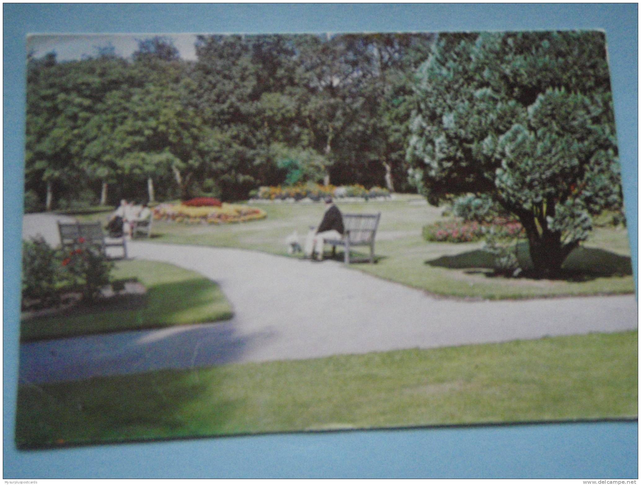 19622 POSTCARD: WARWICKSHIRE: The Park, Bedworth. - Warwick