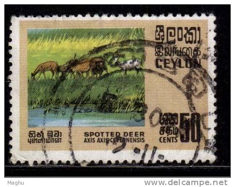 Ceylon , Sri Lanka Used  1970,  50c Spotted Dear, Wild Life - Wild