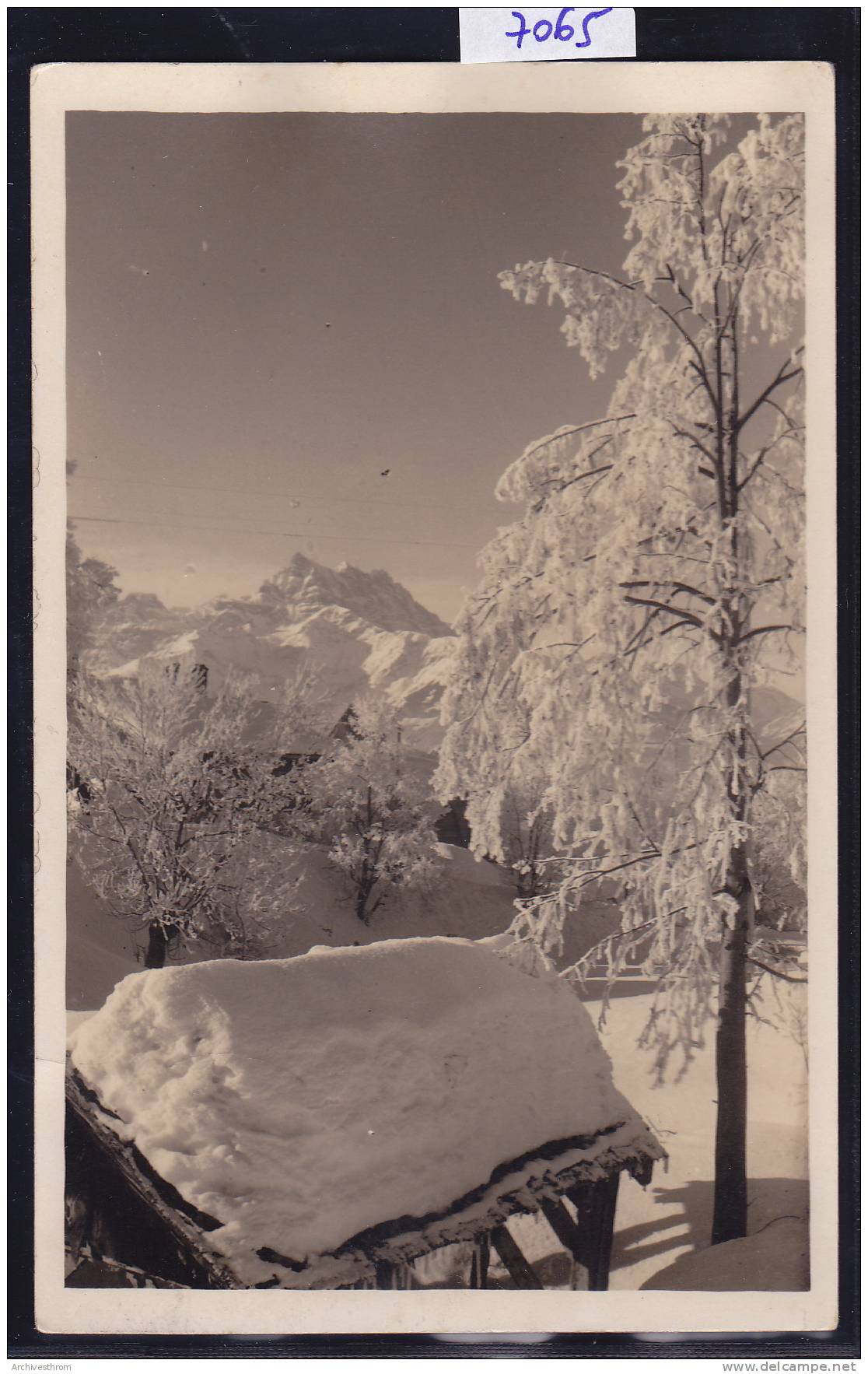 Villars Sur Ollon - Neige, Vers 1929 (7065) - Ollon