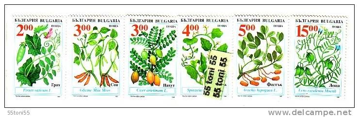 BULGARIA / Bulgarie 1995  Traditional  Agricultural Crops  6v.- MNH - Andere & Zonder Classificatie