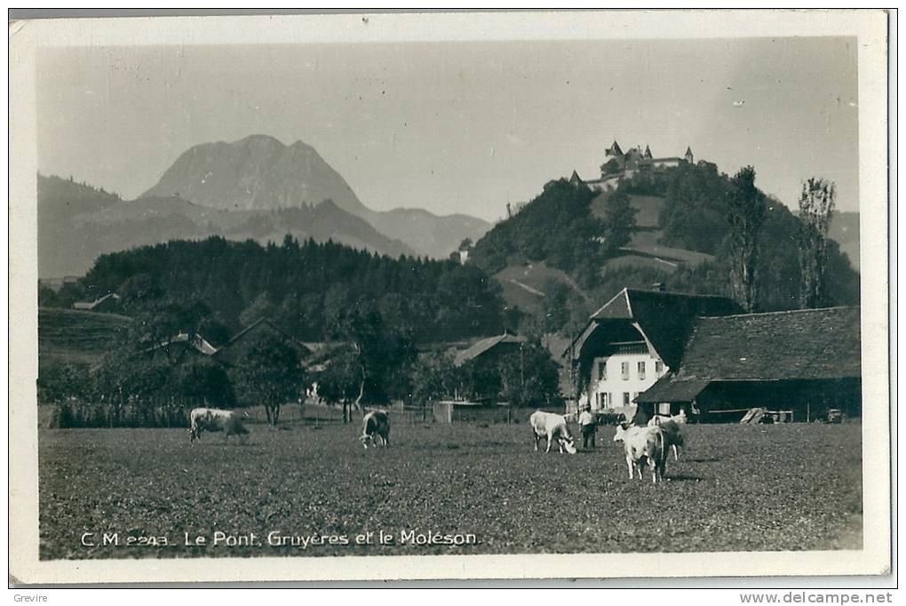 Gruyères Et Le Moléson, Le Pont, Fermes, Vaches, Carte-photo - Gruyères