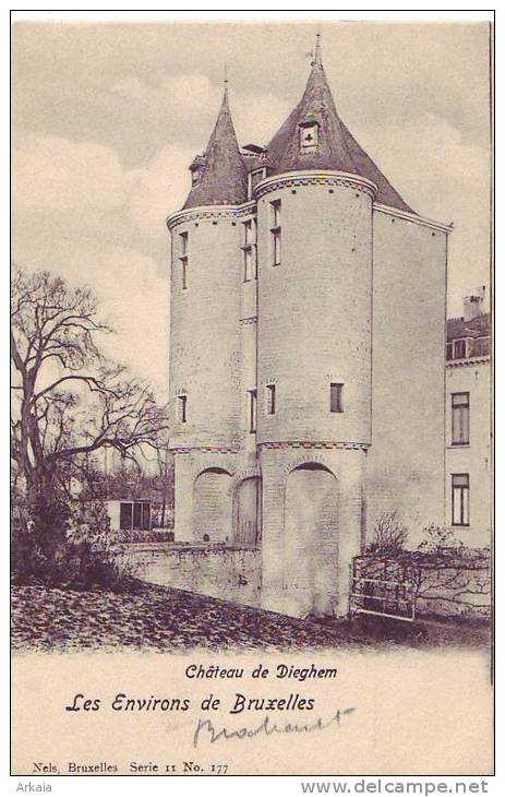 DIEGHEM = Les Environs De Bruxelles = Château  (Nels  Bxl S.11  N° 177) Vierge - Diegem