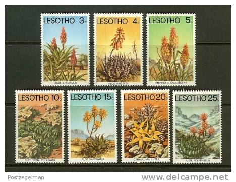 LESOTHO 1977 MNH Stamps Succulents 221-227 - Other & Unclassified