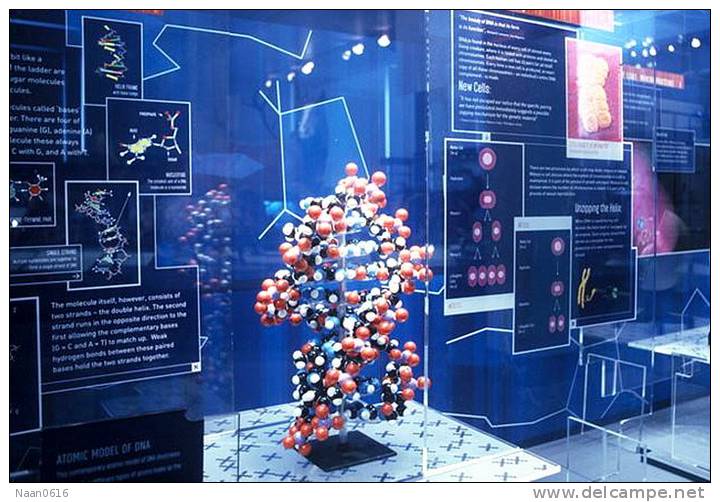 [NZ08-075  ]    Chemistry Gene DNA Biochemistry, Postal Stationery --Articles Postaux -- Postsache F - Química