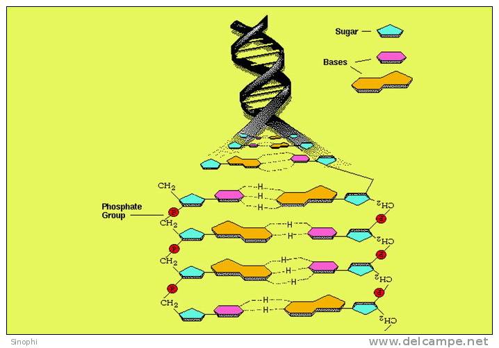 ( AN03-052  ) @      DNA Chemistry Biochemistry Gene  .   Pre-stamped Card  Postal Stationery- Articles Postaux - Chemistry