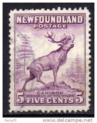 NEWFOUNDLAND TERRANOVA – 1932 YT 175(B) USED - 1908-1947