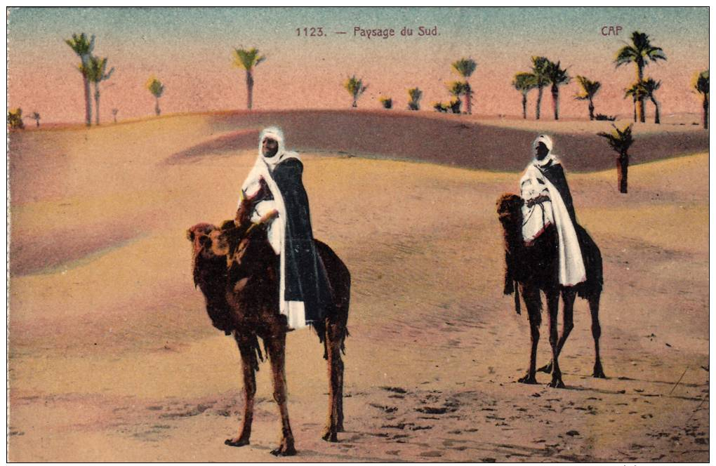 Paysage Du Sud, Cap, Crossing The Desert On Camels, PU-1945 - Sudan