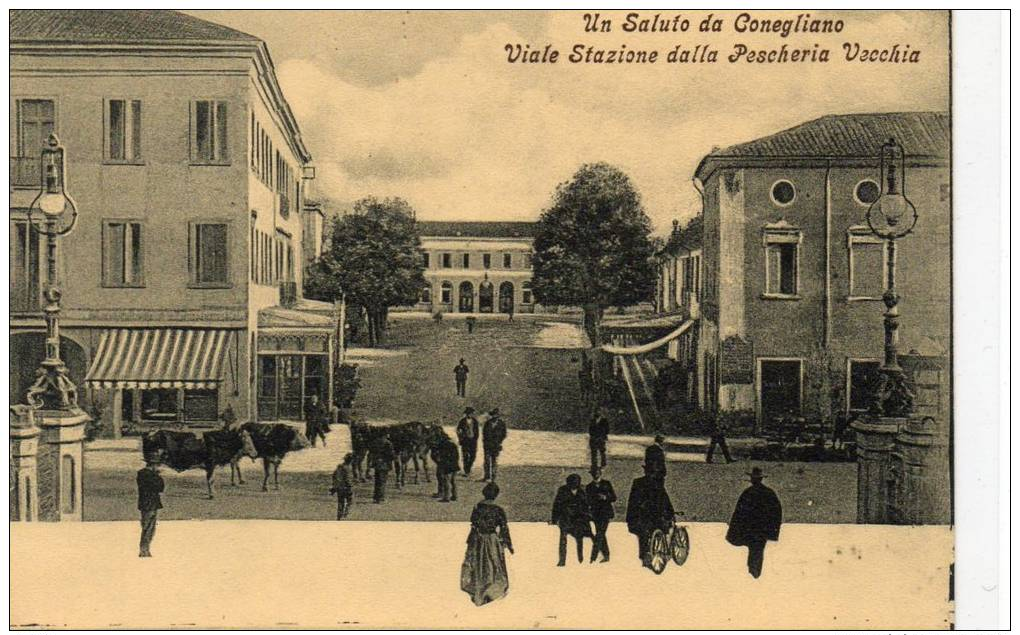 UN SALUTO DA CONEGLIANO - VIALE STAZIONE DALLA PESCHERIA VECCHIA - ANIMATA ( TREVISO )FORMATO PICCOLO - Altri & Non Classificati