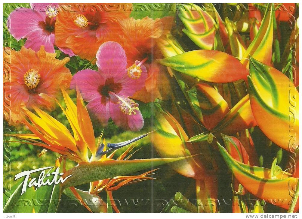 Polynésie Française Polynesia Tahiti CPM Neuve Unused Postcard Flore Fleur Flower Edt POLYDIS N° TH395 - Polynésie Française