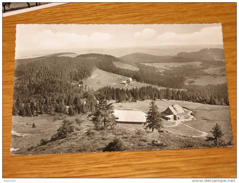 FELDBERG 1957 BN VG  Date Un´occhiata!!    Qui ENTRATE!! - Feldberg