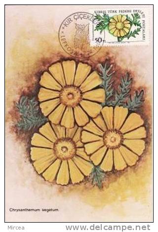 5389 - Cipru Turc 1982 - Carte Maximum - Lettres & Documents