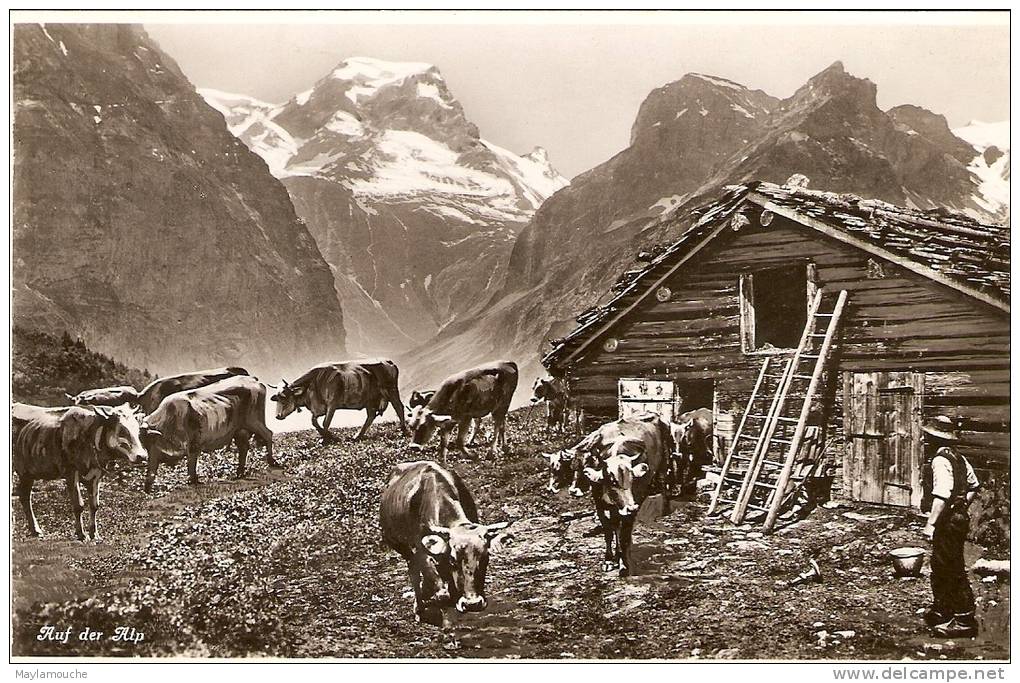 Auf Der Alp (postée A Zweisimmen 1938 - Zweisimmen