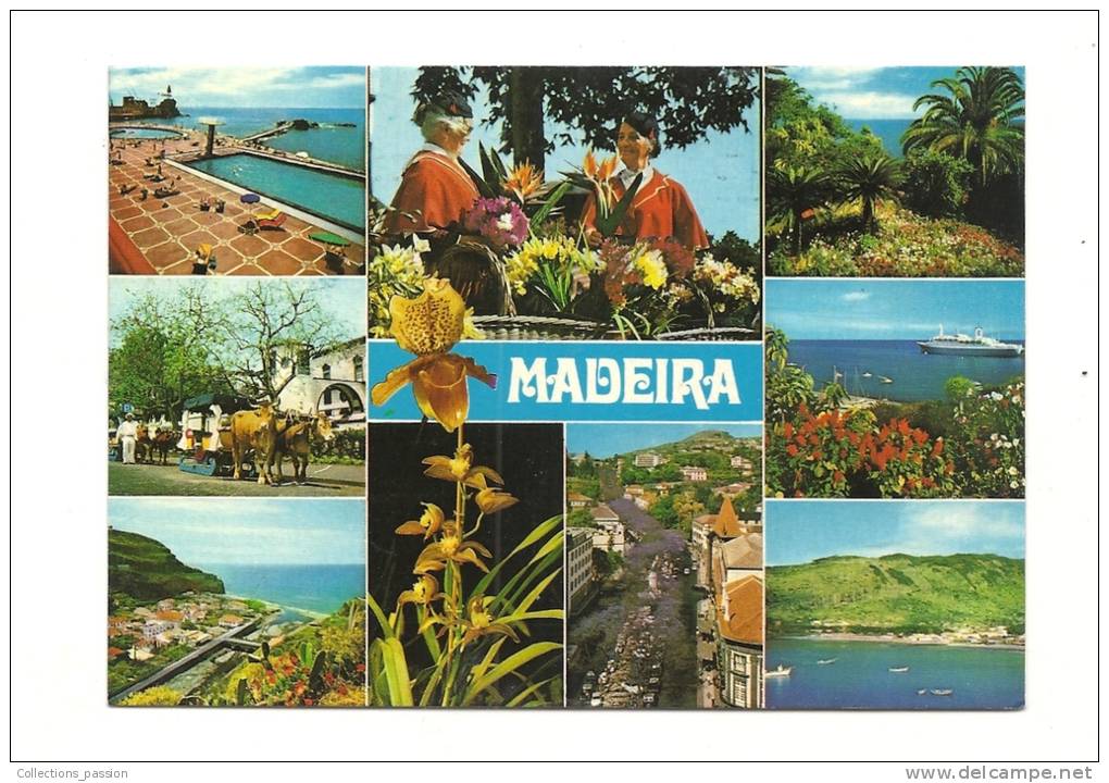 Cp, Portugal, Madère, Multi-Vues, Voyagée 1980 - Madeira