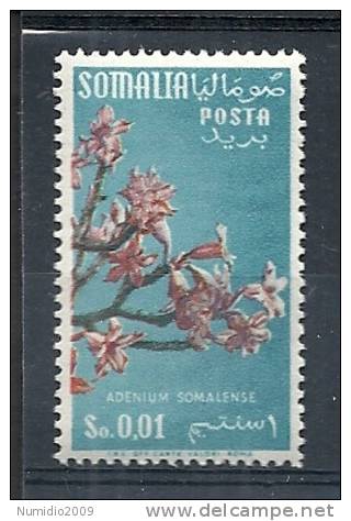 1955 SOMALIA AFIS FIORI 1  CENT RUOTA MNH ** - RR9539 - Somalia (AFIS)