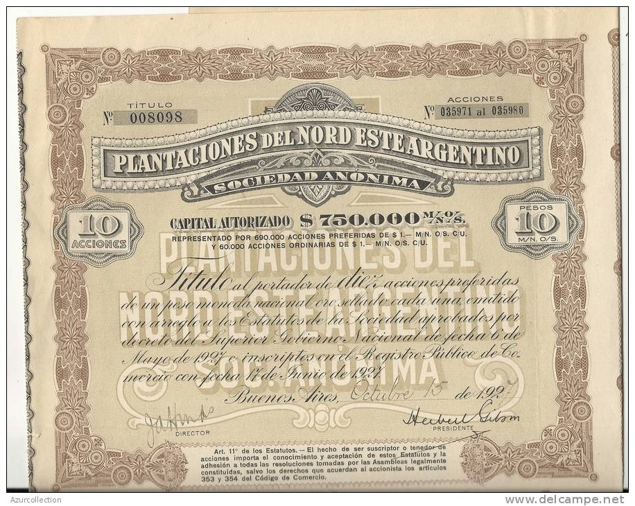 ARGENTINE . PLANTATION DU NORD - Agriculture