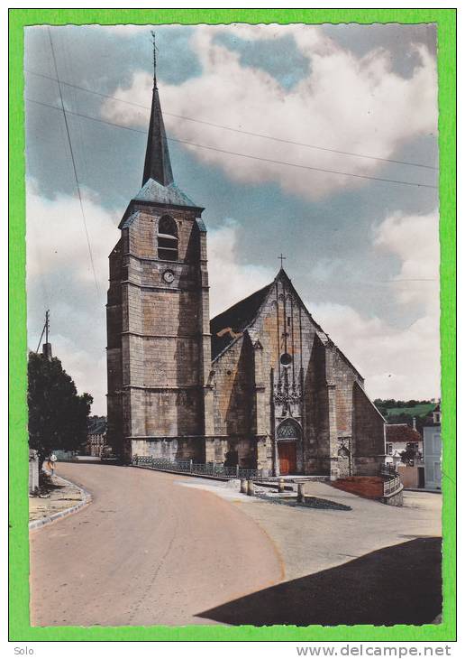 TREIGNY - L'Eglise (Dentelée) - Treigny