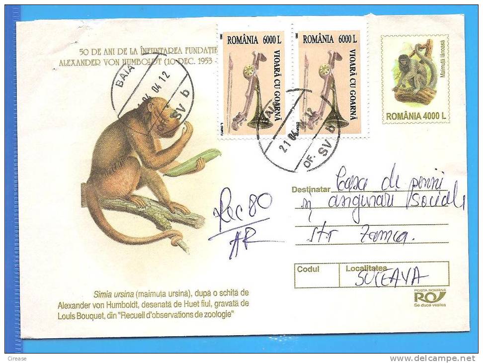 Alexander Von Humboldt Huge Monkey ROMANIA Postal Stationery Cover 2003 - Gorilla