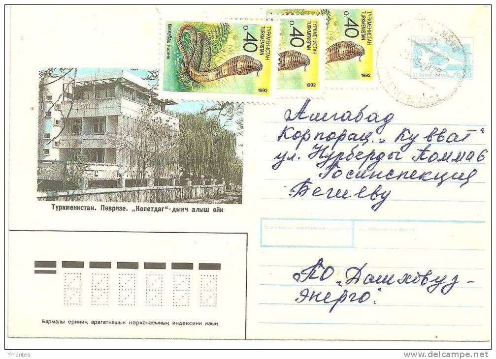 Cover Turkmenistan 1992 (Snakes Stamps) - Turkménistan