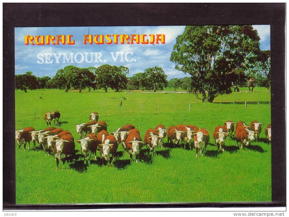 AUSTRALIA Victoria Seymour Rural Australia Mint Postcard #133 - Altri & Non Classificati