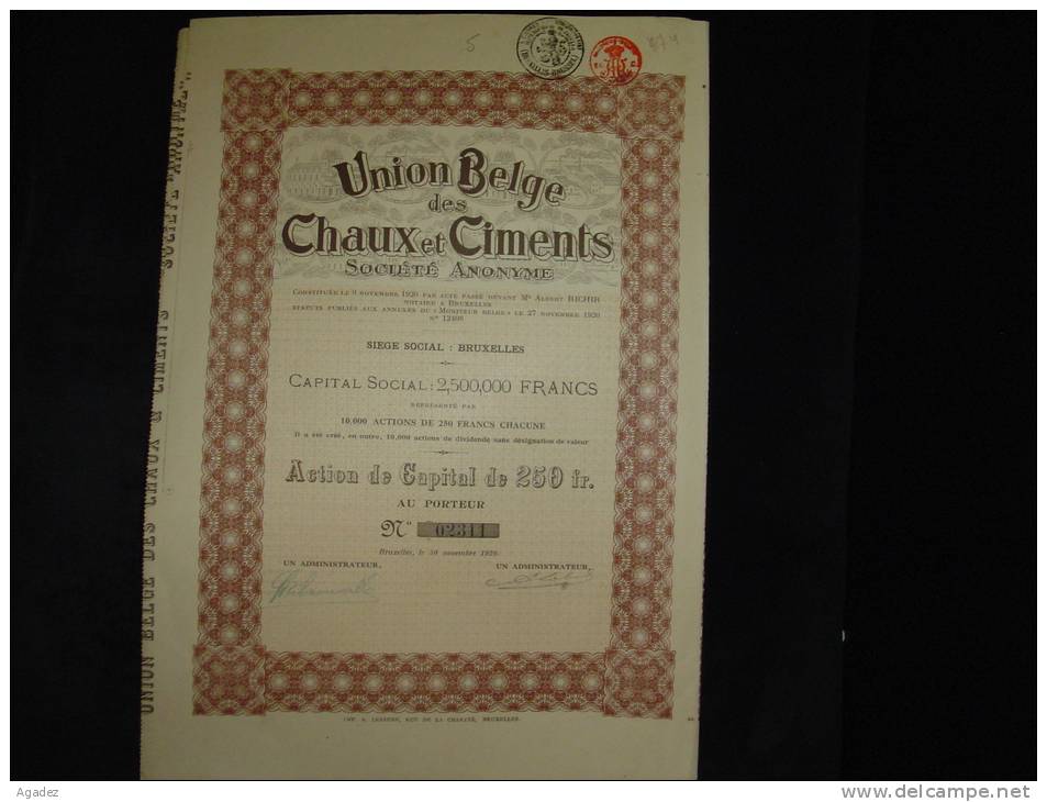 Action De Capital"Union Belge Des Chaux Et Ciments"Bruxelles 1920 Excellent état,avec Tous Les Coupons - Industrie