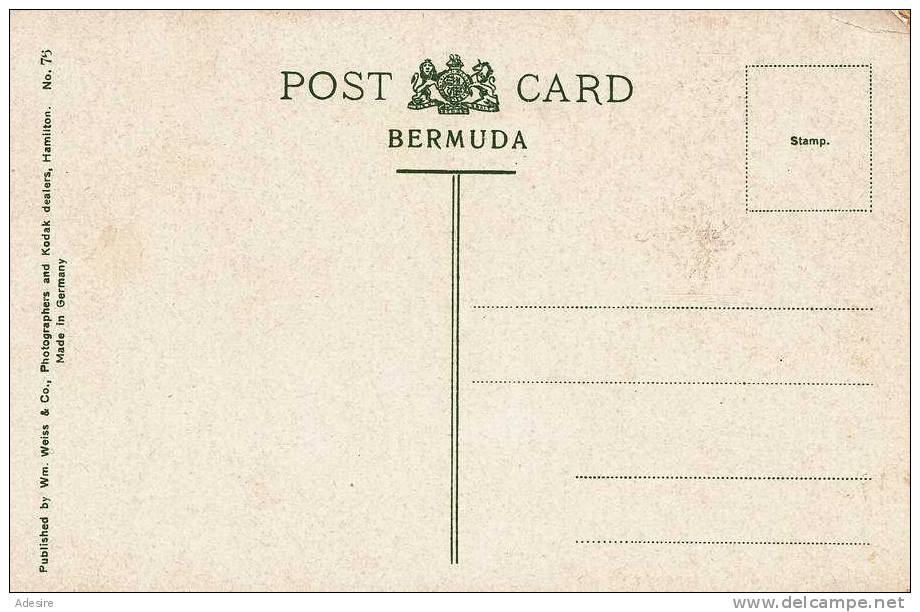 Bermuda, Hamilton From The Fort Bermuda, Seltene Alte Karte, Nicht Gelaufen Um 1910 - Bermuda