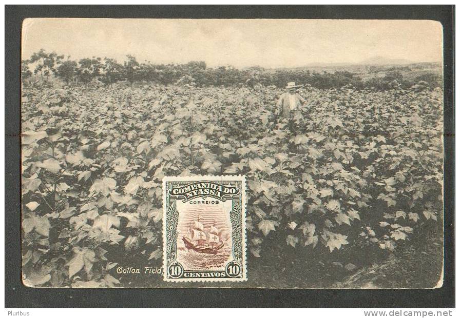 NYASALAND, COTTON FIELD, VINTAGE POSTCARD, PHOTO BY A.J. STOREY - Malawi