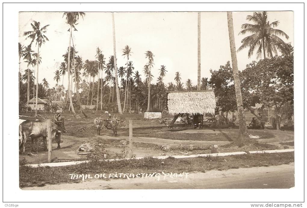 Carte Photo : Singapour - Tamil Oil Extracting Plants - Rare - Autres & Non Classés