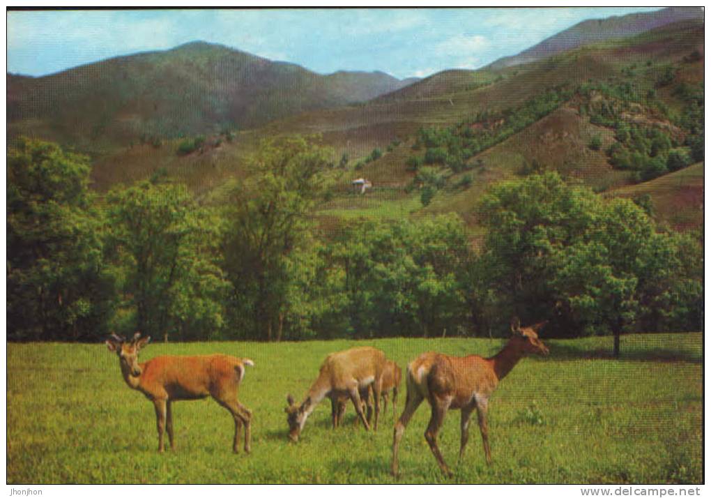 Armenia-Postcard- Dilijan-State Reserve - Armenië