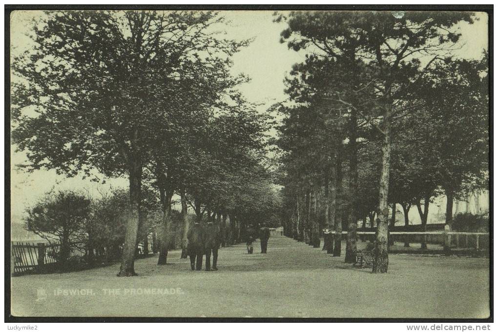 Postcard Ipswich Suffolk  The Promenade  Posted 1905 SAXMUNDHAM / 690 Duplex - Ipswich