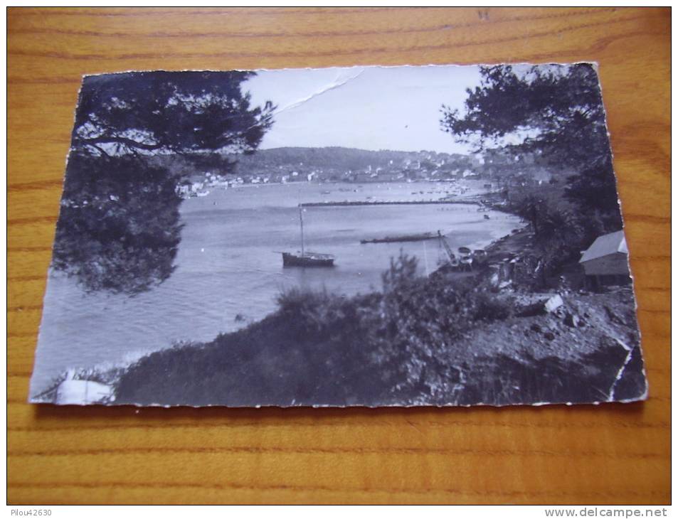 Vue Générale De Saint Mandrier Dans Le Var ; Cachet La Seyne Sur Mer 1961sur 0.15 Alger - Saint-Mandrier-sur-Mer