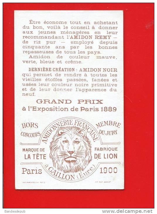 AMIDON REMY LION Belle Chromo Farradesche Femme Corsage  Blanchisserie - Autres & Non Classés