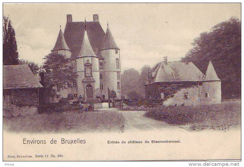 STEENOCKERZEEL = Environs De Bruxelles = Entrée Du Château  (Nels  Bxl  S.11  N° 205) Vierge - Steenokkerzeel