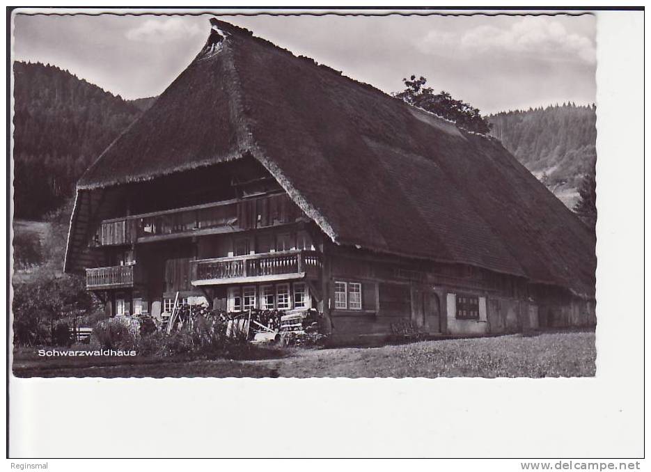 Schwarzwaldhaus, Ca. 1955 - Sonstige & Ohne Zuordnung
