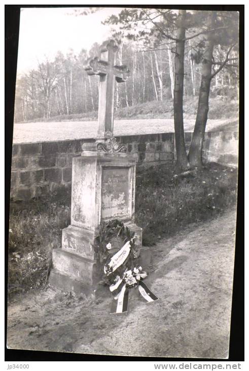 KÖNIGSTEIN: Monument Aux Morts. (carte Photo) - Koenigstein