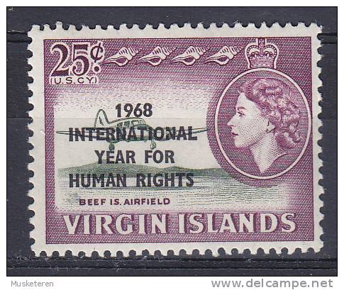 British Virgin Islands 1968 Mi. 187     25 C Queen Elizabeth II. & Airfield Aeroplane Overprinted Human Rights Year MNH* - British Virgin Islands