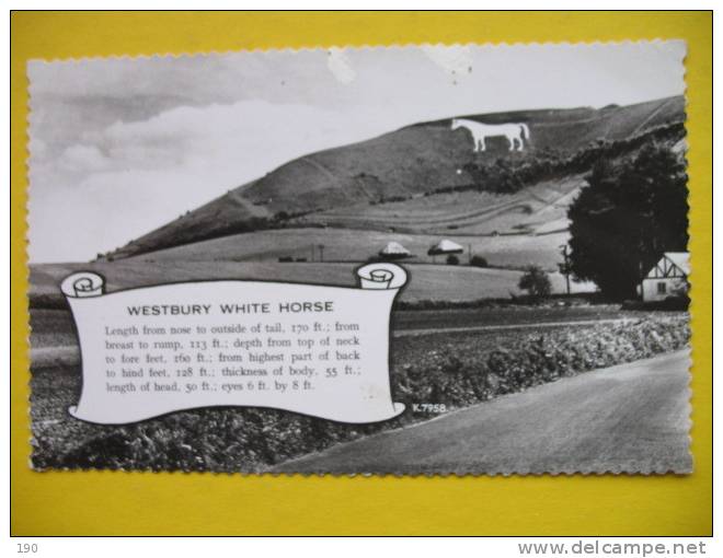 WESTBURY WHITE HORSE - Andere & Zonder Classificatie