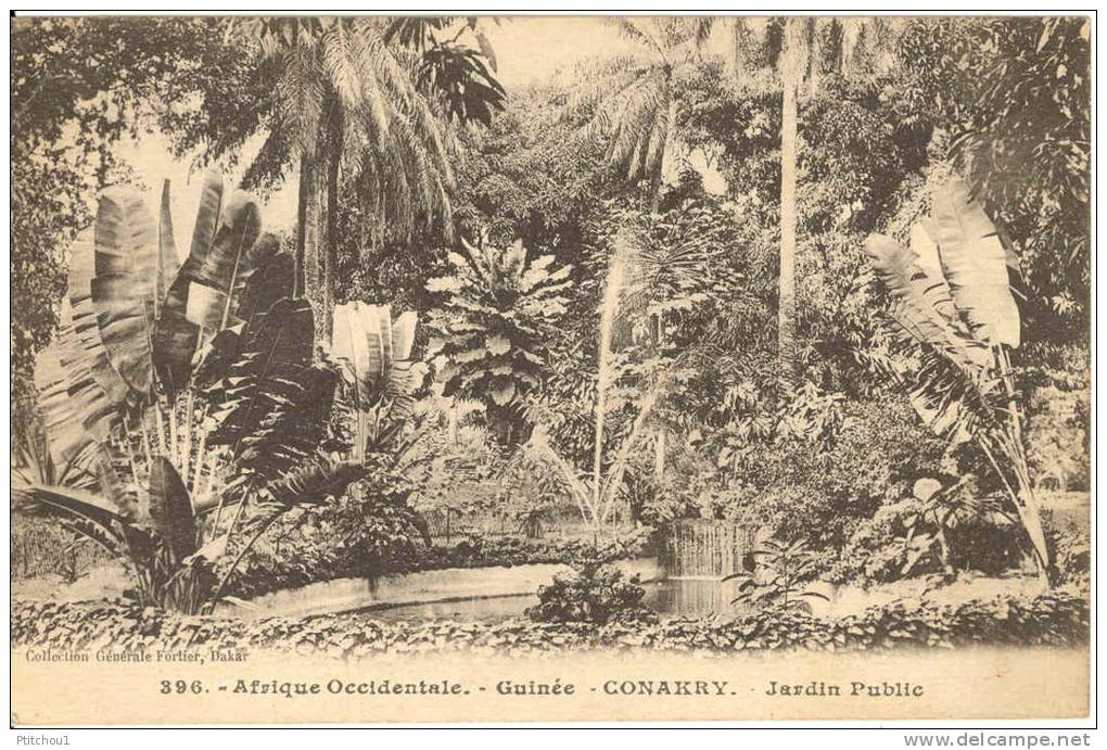 Guinée Konakry Afrique Occidentale Française Jardin Public - Guinea