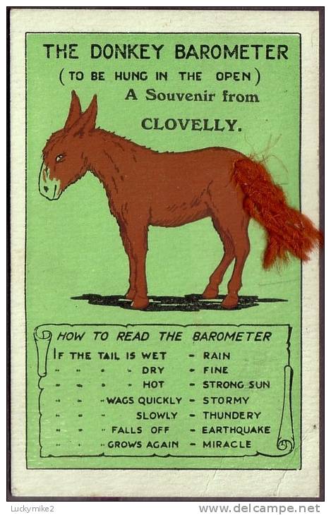 Novelty  "Donkey Barometer"  Postcard.  C1920. - Other & Unclassified