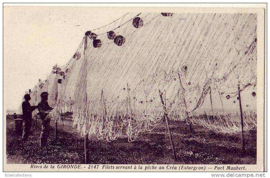 Charente-Maritime..17..St   Fort Sur Gironde..Port Maubert Filet De Pêche A L'esturgeon - Altri & Non Classificati