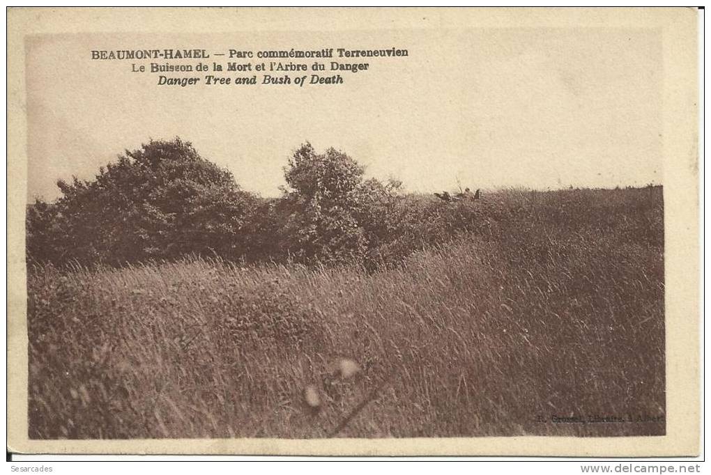 BEAUMONT-HAMEL, PARC COMMÉMORATIF TERRENEUVIEN, LE BUISSON DE LA MORT - R.GROSSEL, LIBRAIRE - Albert