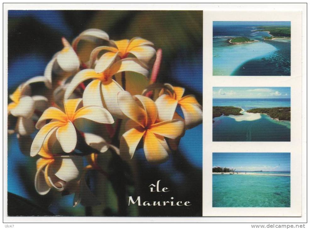 - Ile MAURICE - MAURITIUS - Frangipanes Et Plages - - Mauritius